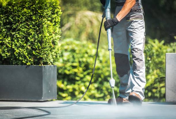 Best Spring Cleaning  in Spring Arbor, MI