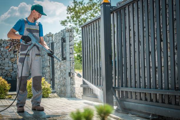 Best Roof Washing  in Spring Arbor, MI