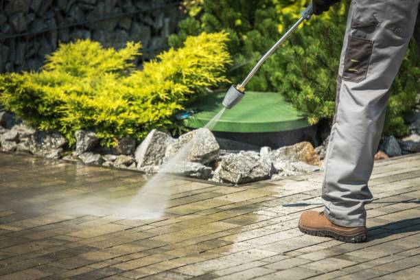 Best Oil Spill Cleanup  in Spring Arbor, MI