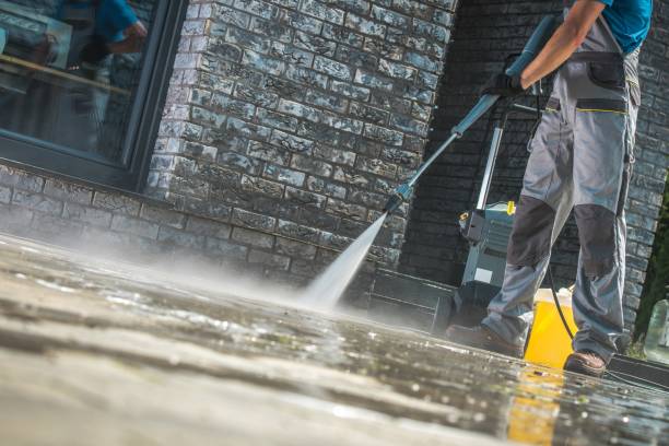 Best Building Exterior Washing  in Spring Arbor, MI
