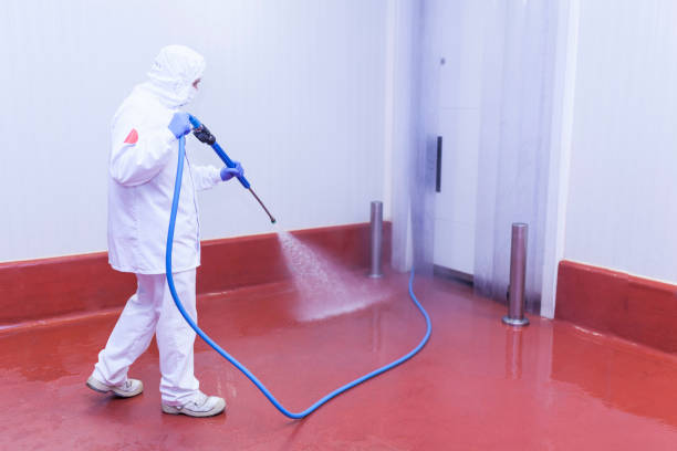 Best Patio and Deck Pressure Washing  in Spring Arbor, MI