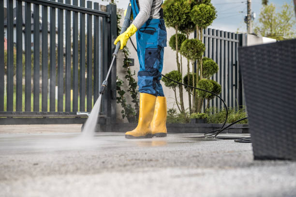 Best Rust Removal  in Spring Arbor, MI